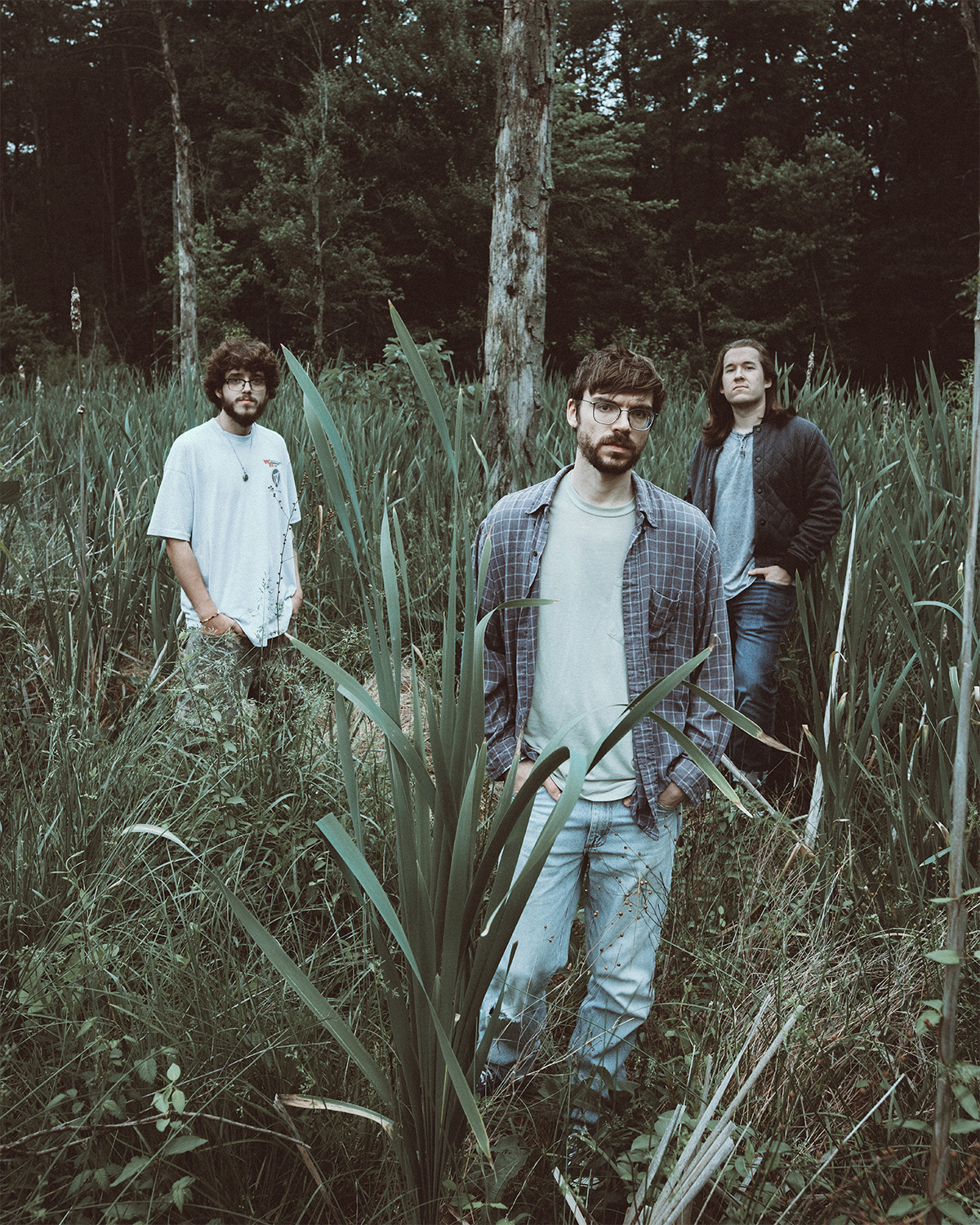 Photo of the band